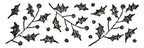 Illustration d'une branche de houx en noir et blanc, idéale pour les travaux manuels ou les cartes festives avec l'Artoz Papier AG Stempel Stechpalme.