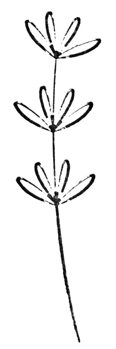 Dessin minimaliste à l'encre noire d'une tige unique avec trois fleurs ouvertes - idéal pour l'artisanat ou comme motif sur les cartes d'invitation en utilisant le Stempel Blume d'Artoz Papier AG.