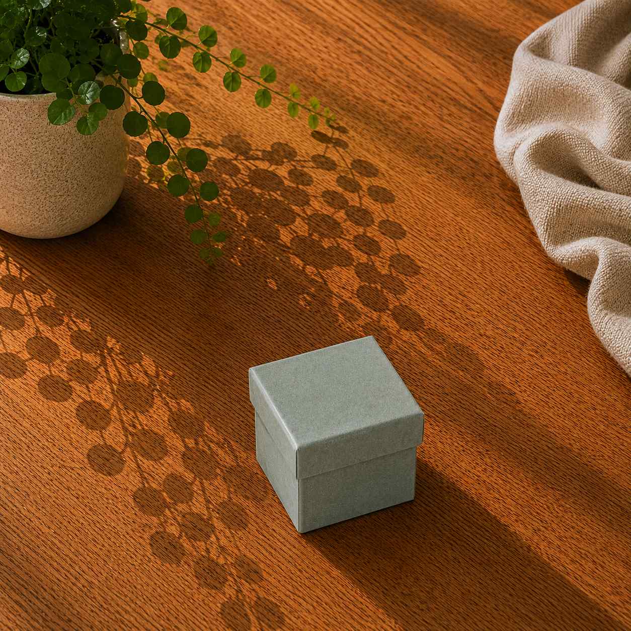 Eine kleine, geschlossene, graue Geschenkbox „Pure“ in Größe XS von Artoz Papier AG steht auf einem Holztisch neben einer Topfpflanze und einem beigen Tuch, auf dessen Oberfläche sich die Schatten der Blätter der Pflanze abzeichnen.