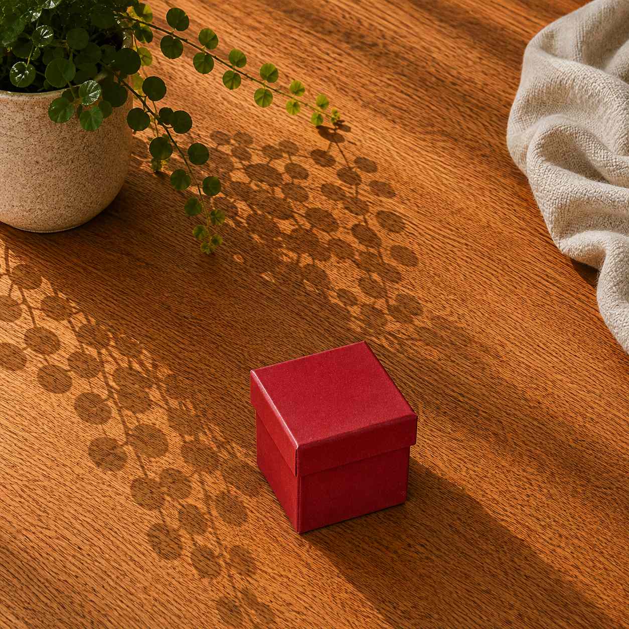 Eine kompakte rote Geschenkbox „Pure“ in Größe XS von Artoz Papier AG steht auf einer Holzfläche, während eine Topfpflanze Schatten wirft und in der oberen rechten Ecke ein helles Tuch drapiert ist – was diese edle Verpackung hervorhebt, die sich perfekt für jeden besonderen Anlass eignet.