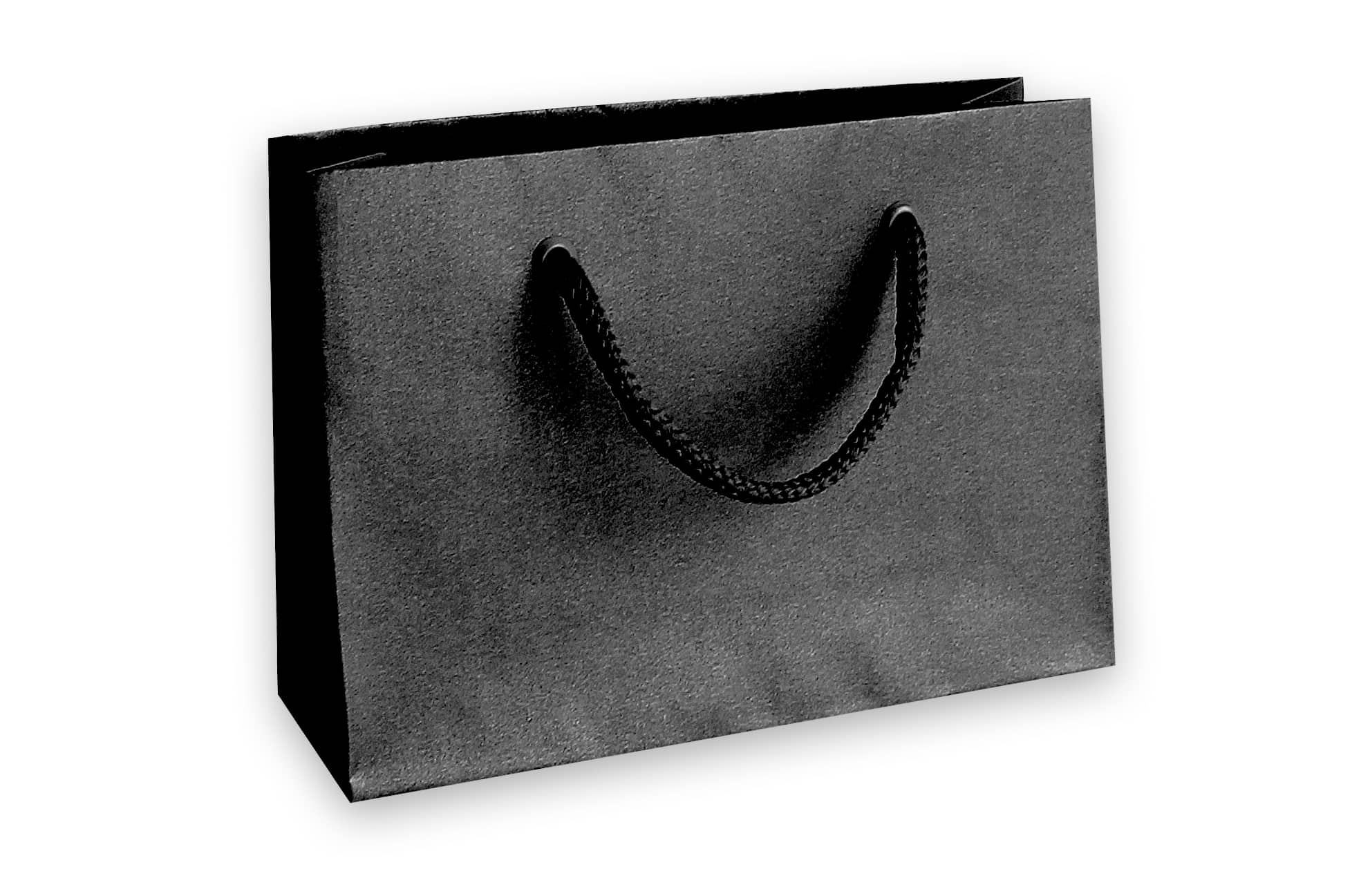 Un « sac cadeau Pure taille L » noir de la marque Artoz Papier AG, doté de poignées en cordon noir, idéal comme emballage cadeau, présenté sur fond blanc.