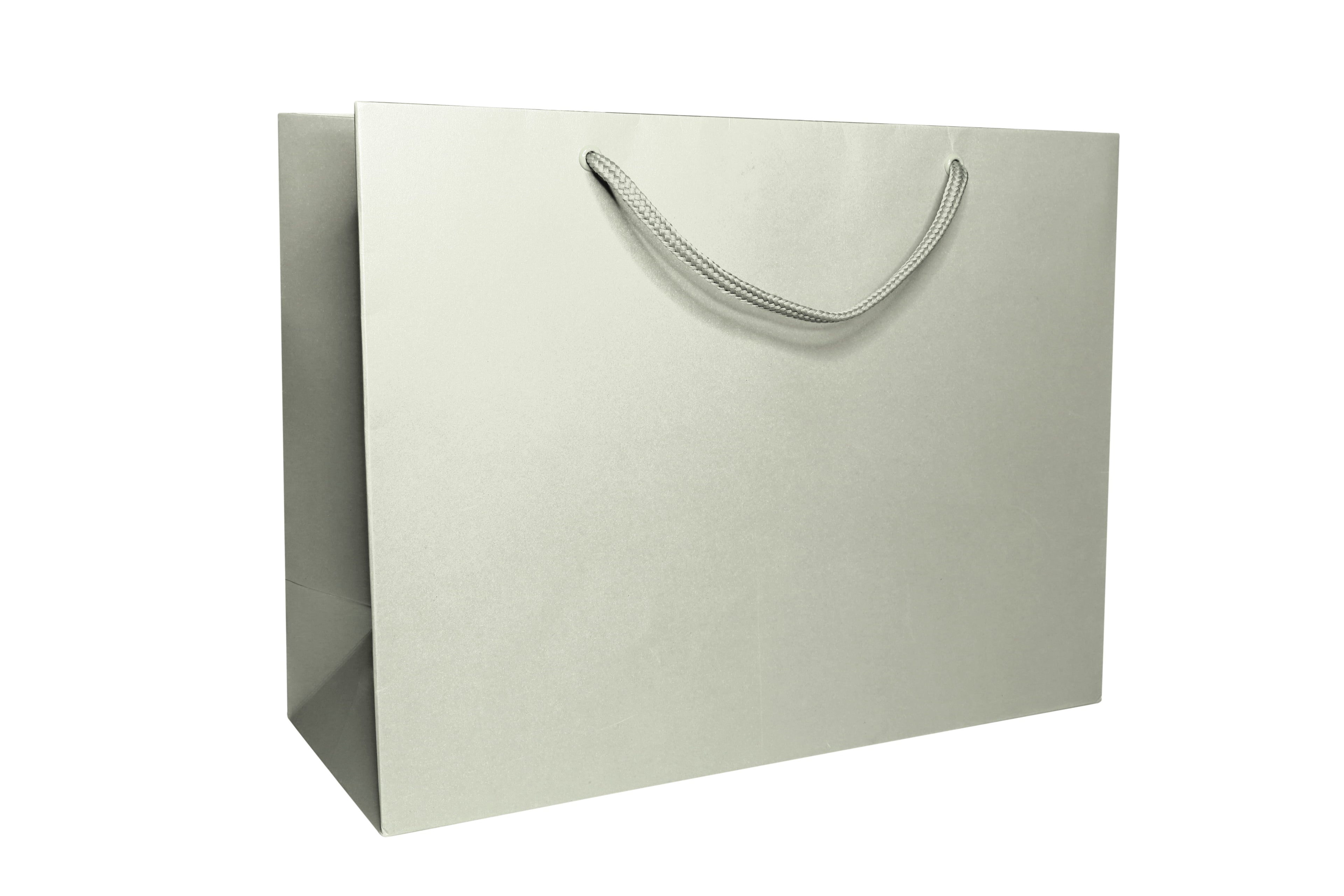 Un sac cadeau « Pure » taille L, élégant et gris clair, de la marque Artoz Papier AG, doté d'une poignée en cordon, photographié sur fond blanc — idéal comme emballage cadeau raffiné ou comme sac pratique pour toutes les occasions.