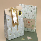 Feiern Sie jeden festlichen Anlass mit diesem Set aus zwei verzierten Geschenktüten von Artoz Papier AG. Die Tüten sind mit bezaubernden Winter- und Weihnachtsmotiven verziert: Eine Tüte zeigt Schneemänner, Geschenkanhänger, Schnur und charmante Details, die von Bastelzubehör inspiriert sind. Die andere Tüte zeigt verspielte Bäume und Wichtel mit Mützen, die an das „Stempel Wichtel“-Design erinnern. Beide Tüten sind vor einem neutralen Hintergrund gestaltet und mit vereinzelten Sternen verziert, die für