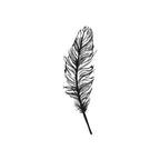 Illustration en noir et blanc d'une seule plume aux lignes complexes, idéale pour les projets Bastelarbeiten ou Holzstempel Feder. Le Stempel Feder d'Artoz Papier AG est représenté sur un fond blanc uni.