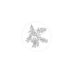 Der Stempel Zweig rund von Artoz Papier AG zeigt einen minimalistischen schwarz-weissen Blätterzweig mit Punkten in einem gepunkteten Kreis - ideal für Bastelarbeiten oder als Holzstempel auf einfarbig weissem Hintergrund.
